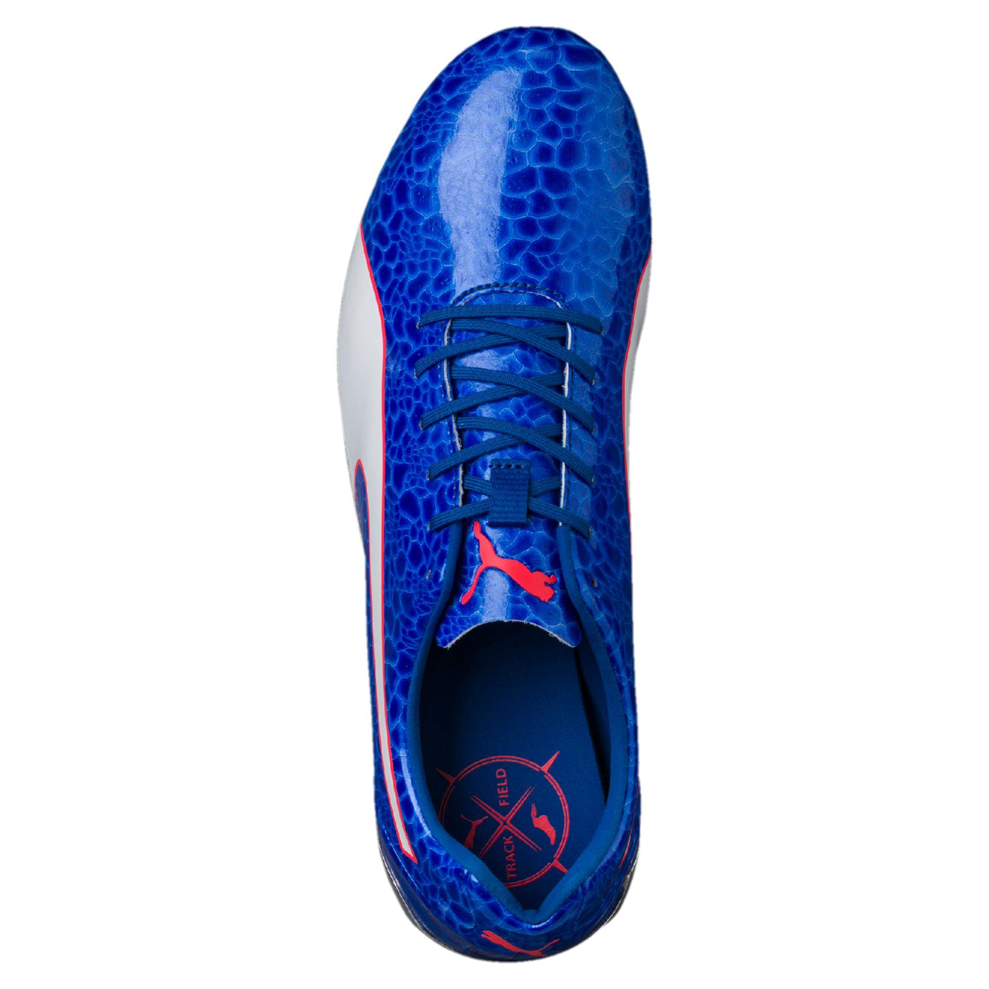 Puma evospeed electric best sale 6